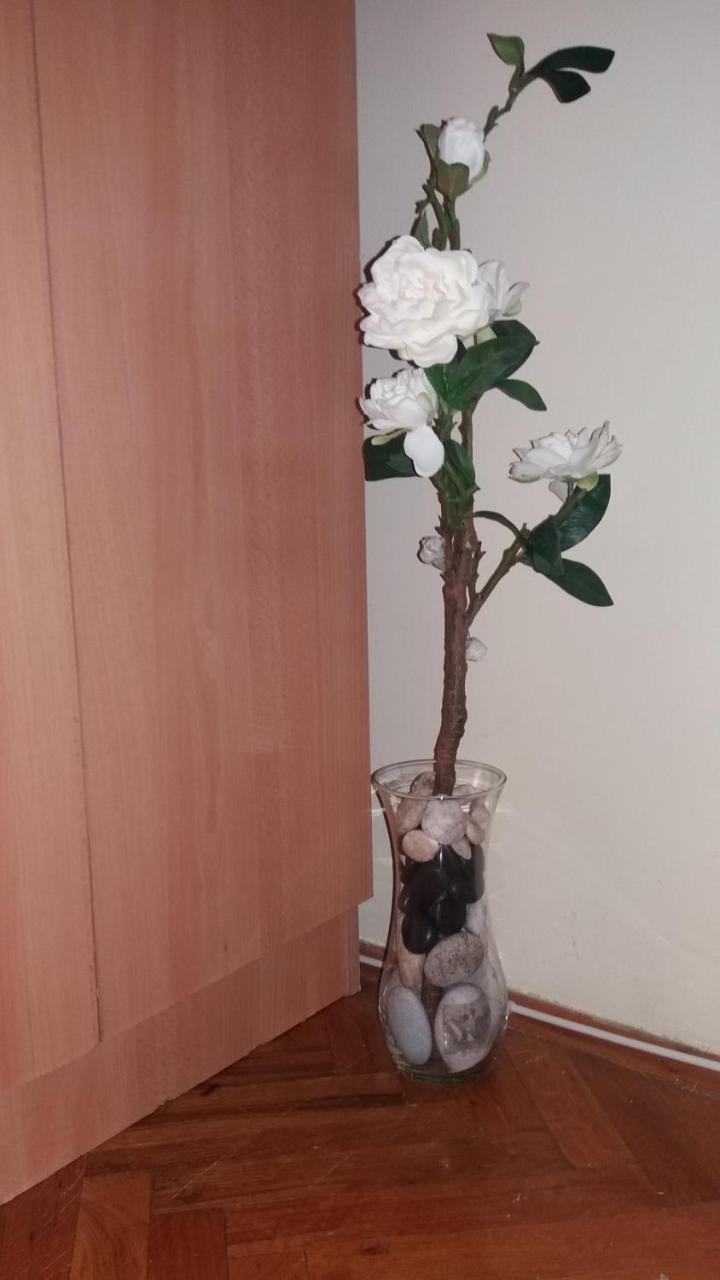 Sweet Home Center Apartment Novi Sad Exterior photo